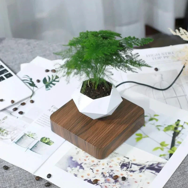 https://cdn.shopify.com/s/files/1/0965/8109/1655/files/0bbb8e08-74f9-4056-89eb-837c7dc7b0fa_4b037608-8c2a-4e18-b1cc-26df5017a13d.webp?v=1772119781
