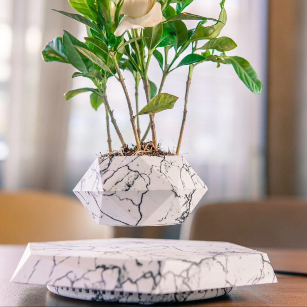 Pot de Fleurs Lévitation - Élégance en lévitation